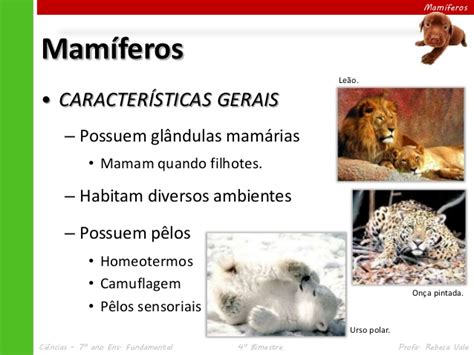 IV.5 mamíferos