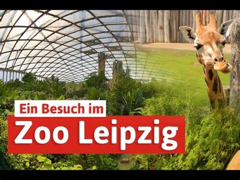 Jahreskarte zoo leipzig | Öffnungszeiten und Ticketpreise