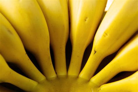Japan Running Out of Bananas, Banana Dieters Upset ...