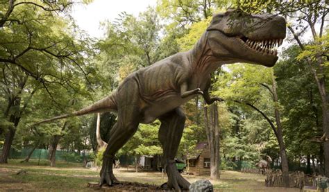 Japón quiere construir el primer ‘Parque Jurásico’ real ...