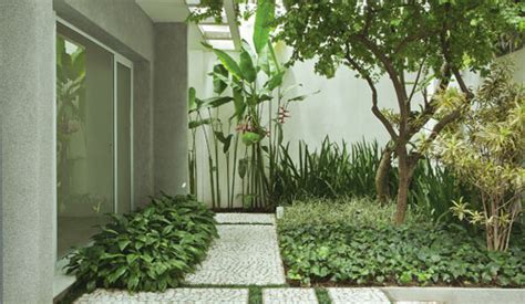 Jardim cheio de sombra com plantas de diferentes tons de ...