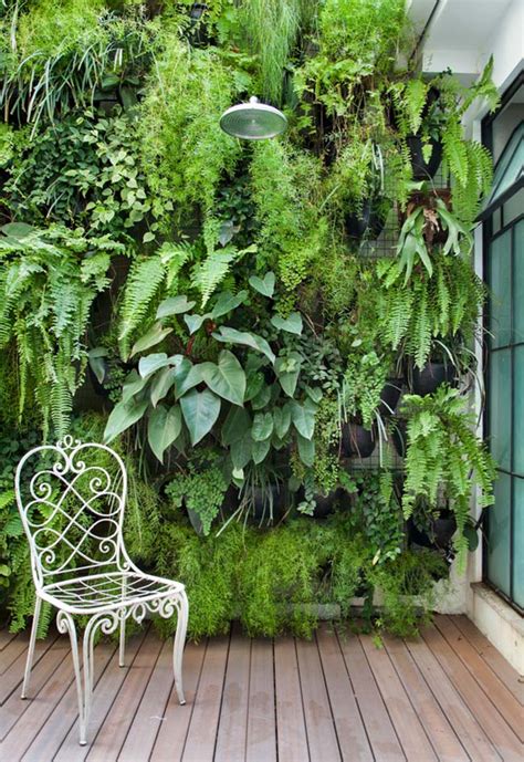 Jardim Vertical: 70 Fotos, Como Montar +Dicas de Plantas