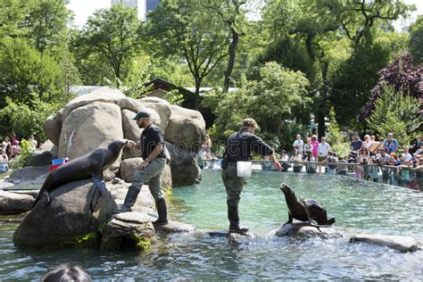 Jardim Zoológico New York EUA Do Central Park Fotografia Editorial ...