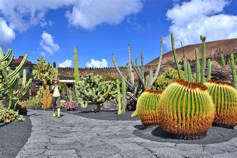 Jardín de Cactus  Lanzarote  2021 • Horario, precio y ...
