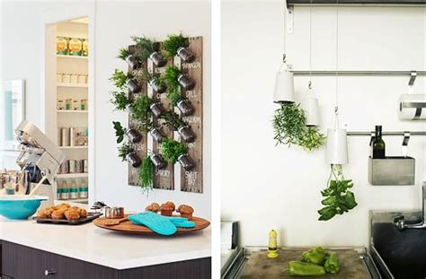 Jardín de hierbas aromáticas en la cocina | Decoora