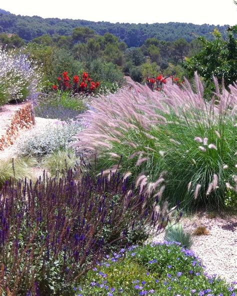 Jardín mediterráneo sostenible y respetuoso con el medio ambiente