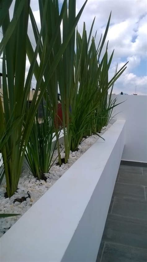 Jardineras casa zamora de bamboo design & garden moderno caliza ...