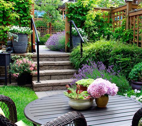 Jardinería Can Peret | Plantas de exterior