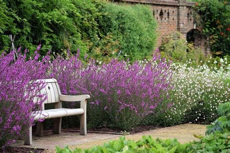 Jardinería sostenible. Combinaciones de plantas mediterráneas para ...