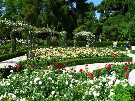 jardines modernos con flores   Buscar con Google ...