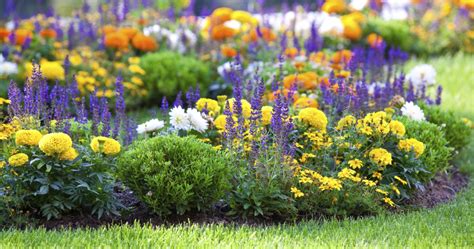 Jardines Verticales Huichol – Todo lo que debes saber de ...