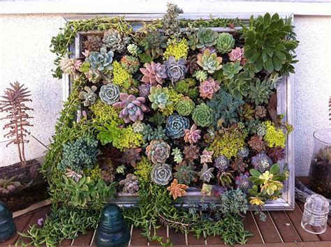 Jardines verticales para paredes: arreglos vegetales para ...