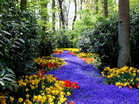 Jardines y paisajes con flores   Imágenes   Taringa!