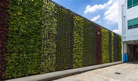 jardinVERTICAL7 | Muros verdes, Muros, Verde