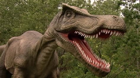 Jersey Saurus:  Real Life  Dino Park Video   ABC News
