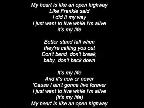 Jon Bon Jovi its my life lyrics   YouTube