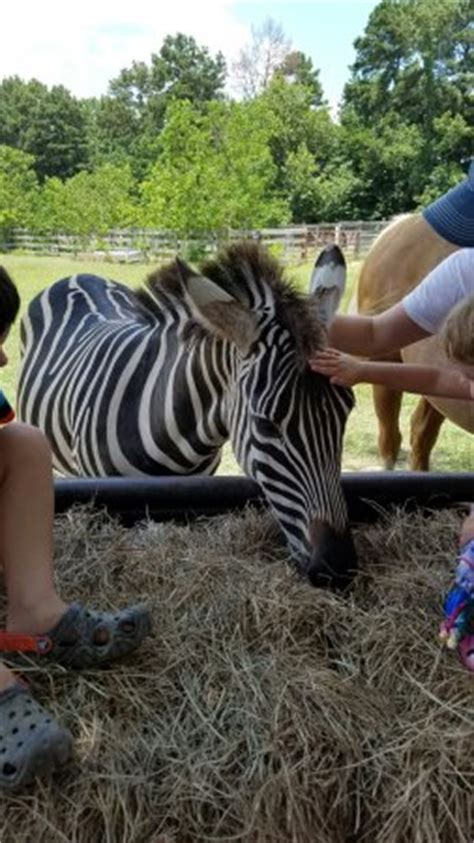 Jubilee Zoo  Shreveport    2019 All You Need to Know ...