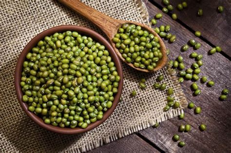 Judía Mungo  soja verde  qué es, beneficios y cómo cocinarla