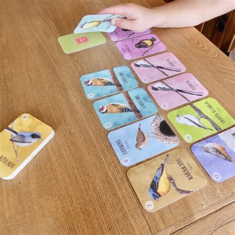 Juego de cartas pájaros del Uruguay | Las Manolas