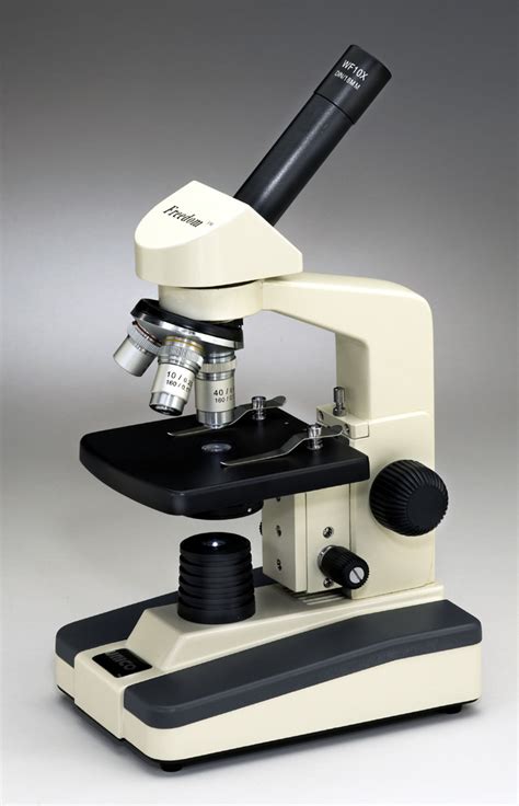 Juegos de Ciencias | Juego de Partes del microscopio ...