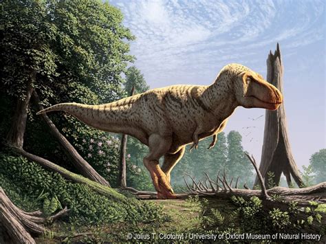 Julius T. Csotonyi. Tyrannosaurus Rex  1000×750  | Prehistoric ...