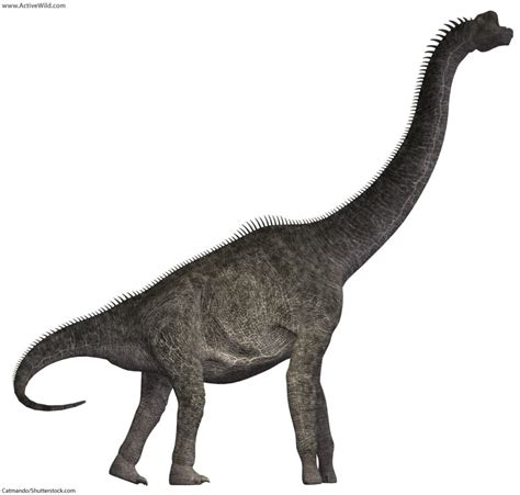 Jurassic Dinosaurs. List Of Dinosaurs That Lived In The ...
