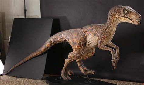 jurassic park raptor   Google Search | Raptor suit ...