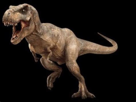 Jurassic Park saga  1993, 1996, 2015 : Rexy Scrren Time ...