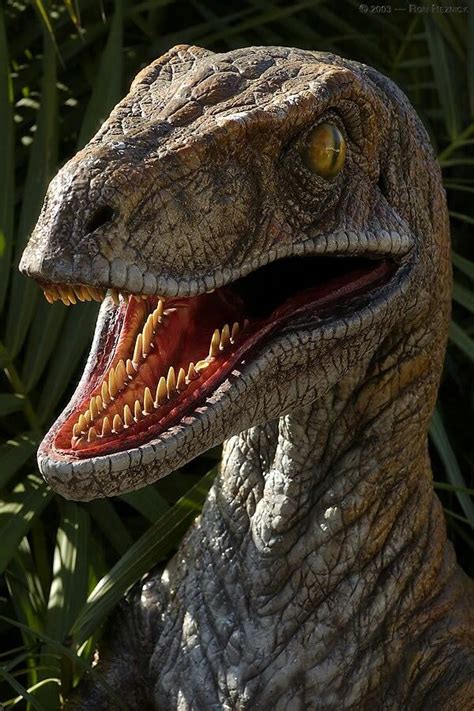 Jurassic park velociraptor | Dinosaur history, Prehistoric ...