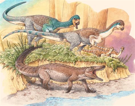 Jurassic Period Crocodile Ancestor Unearthed in Chile ...