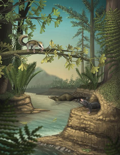 Jurassic saw fastest mammal evolution