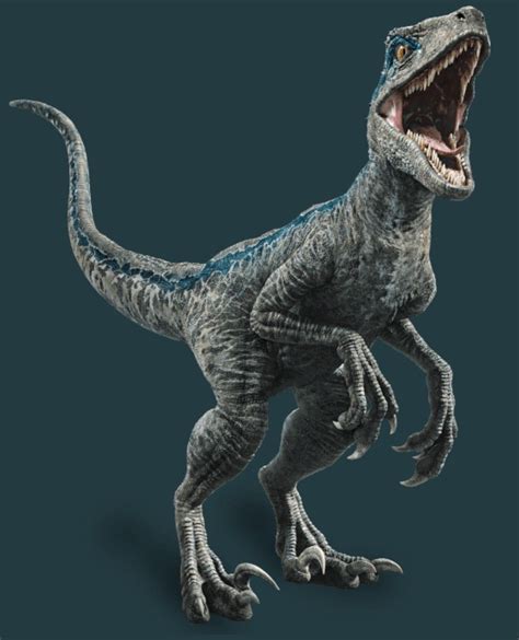 Jurassic World Fallen Kingdom full photo of the Velociraptor ...