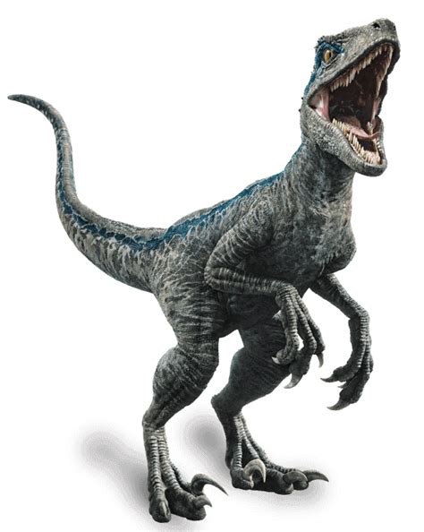 Jurassic World Fallen Kingdom: Velociraptor Blue by sonichedgehog2 on ...