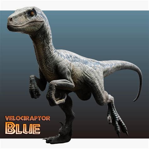Jurassic World Velociraptor   Blue by Benjee10 on DeviantArt