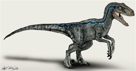 Jurassic World Velociraptor Blue by NikoRex on DeviantArt