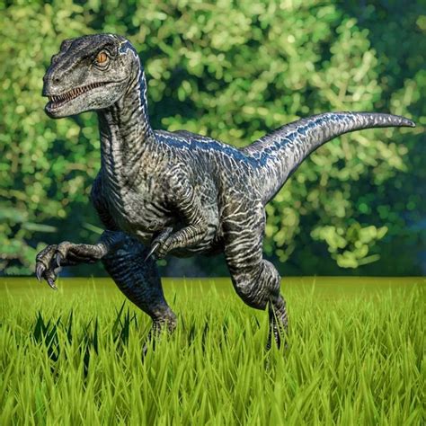 jwe photos and videos on Instagram: “Blue the Velociraptor:Jurassic ...