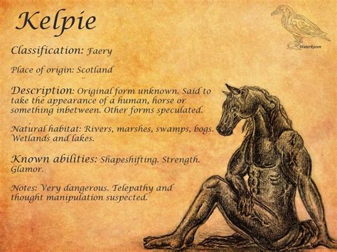 Kelpie Profile   Mythology Art | Scottish Kelpie ...
