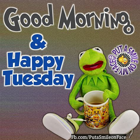 Kermit Good Morning & Happy Tuesday Pictures, Photos, and ...