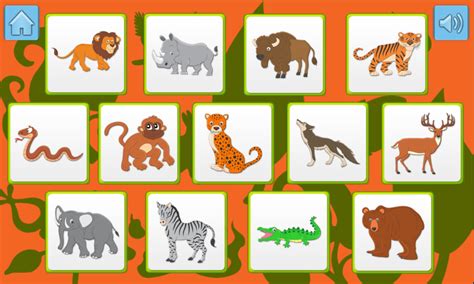 kids Memory Games   Wild Animals 2375 | TopGames.PLUS