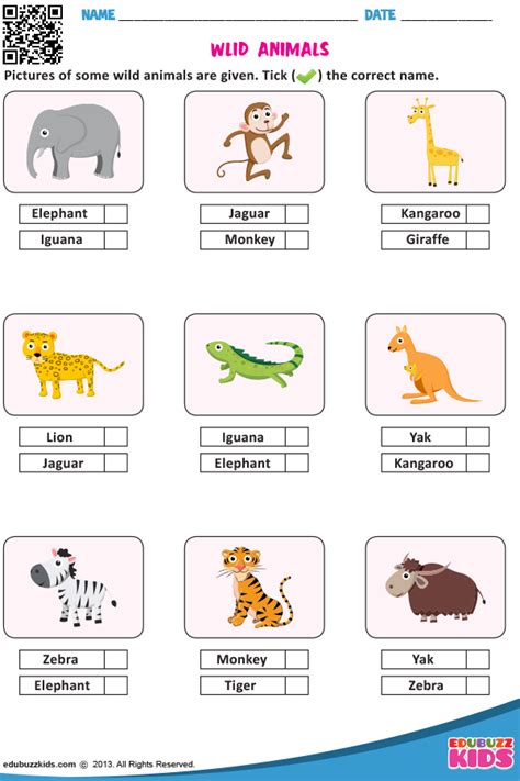 Kindergarten Pet Animals Worksheets For Preschoolers   Thekidsworksheet