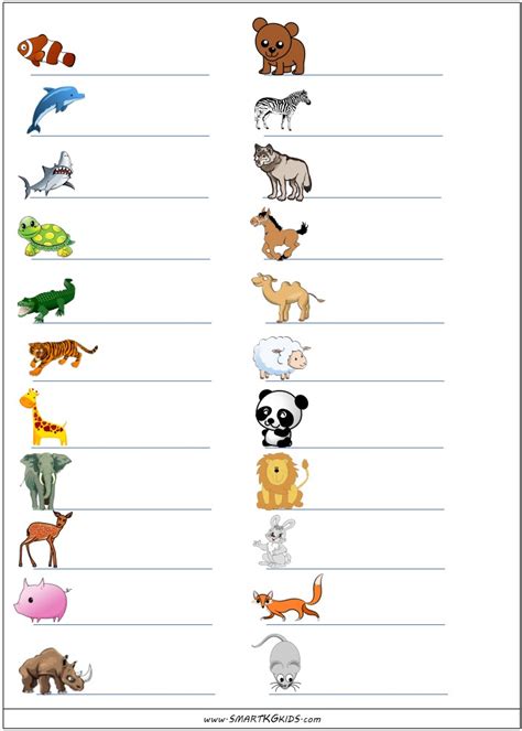 Kindergarten Printable Spelling Worksheet   Birds and Animals   1 ...