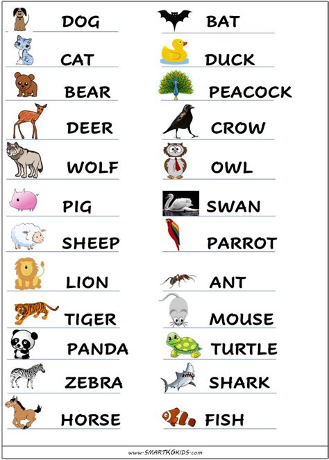 Kindergarten Printable Spelling Worksheet   Birds and Animals   2 ...