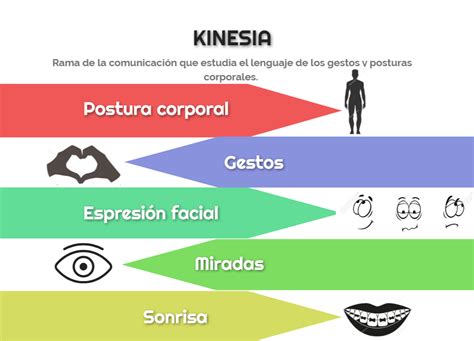 Kinesia, rama de la comunicación que estudia los gestos, postura ...