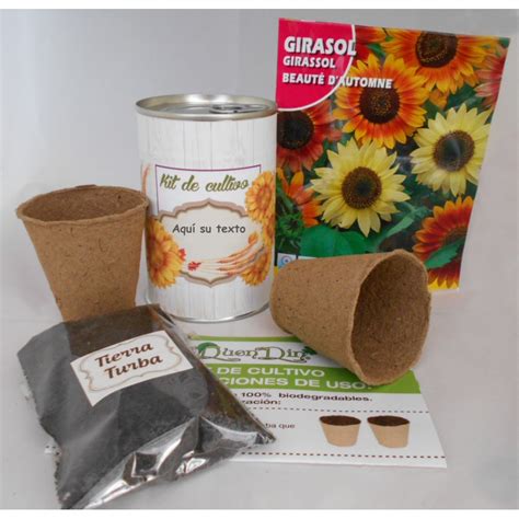 Kit de cultivo Girasol para regalos originales