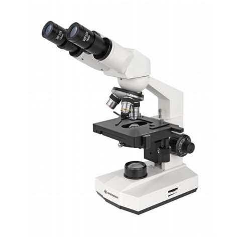 Kit de Microscopio binocular Erudit Basic 40X 400X y ...