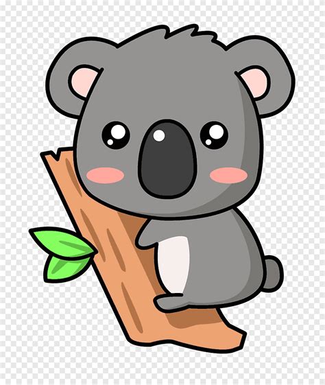 Koala, dibujo de ternura de bebé koala, koala, mamífero, animales png ...