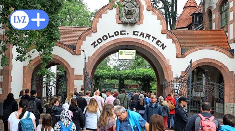 Kommentar zum Leipziger Zoo: Kaum noch Luft für höhere Eintrittspreise