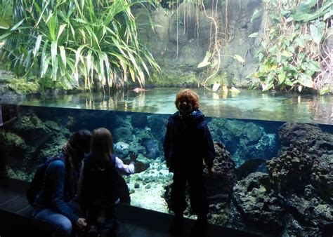 Kurztipp: Zoo und Aquarium Berlin mit Kindern ...