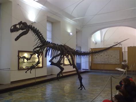 L ala della scuola: Un giorno al museo paleontologico