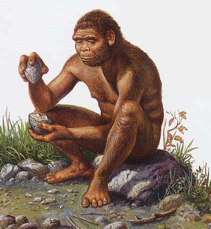 L Homo erectus
